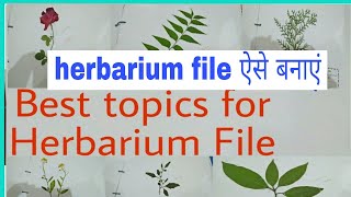 herbarium file herbarium file kaise banaye herbarium file banane ka tarikaherbarium file class 12 [upl. by Groveman]