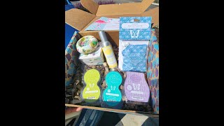 SCENTSY WHIFF BOX JUNE 2024 UNBOXING  2024 [upl. by Eineg]