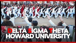 Alpha Chapter  Delta Sigma Theta  Howard University  Spring 2024 Probate [upl. by Yrahk242]