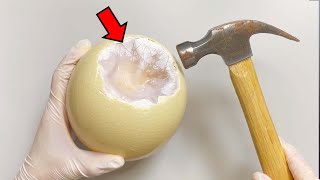 Strange Organ inside Ostrich Egg  Ostrich Egg Dissection [upl. by Tann]