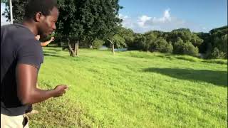 Grazing hippo causes traffic jam in Richards Bay [upl. by Ennaerb]