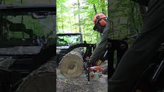 Stihl MS 261 Vs Stihl MS 362 shorts [upl. by Mcmillan82]