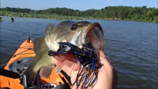 Bass Fishing at Mattawoman Creek Md [upl. by Lacy]