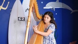 Mi despedida  Paraguayan harp played by Tessa Whale [upl. by Aicina269]