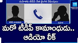 మహిళకు లైంగిక వేధింపులు TDP Leader Srinivas Naidu Audio Leak SakshiTV [upl. by Possing126]