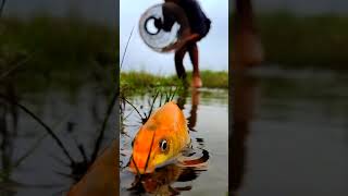 Fishing fishing shorts short video 2016 [upl. by Willing861]