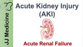 Renal Failure Acute and Chronic [upl. by Ayo100]