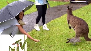 Aussie Animals  Geordie Shore Season 6  MTV [upl. by Tacita]