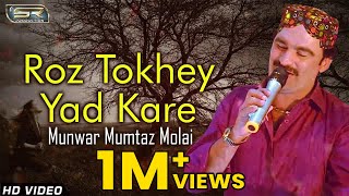 Roz Tokhey Yad kare  Munwar Mumtaz Molai  New Sindhi Song 2019  SR Production [upl. by Enos]