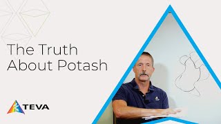 How Potash Affects Your Soil [upl. by Cherie699]