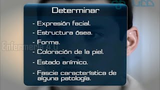 🌟INSPECCIÓN DE LAS FACIES🌟 [upl. by Cram]