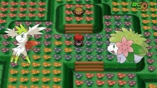 Pokemon Platinum Version  Part 50 How To Get Shaymin  Its Sky Forme [upl. by Celestina]