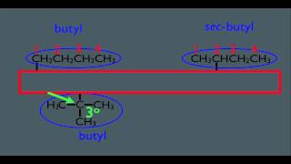 Naming Substituents in Organic Chemistry [upl. by Libbna]