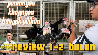 Review februari 2024 Boy sango farm Banyak pilihan [upl. by Naldo]