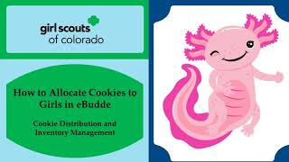 How to Allocate Cookies to Girls in eBudde [upl. by Nnair907]