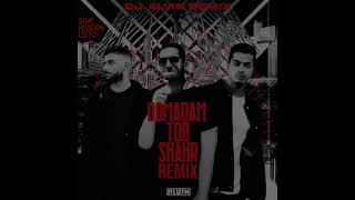 Sijal amp Behzad Leito Ft Mehrad Hidden  quotOomadam Too Shahr  DJ ALVIN REMIX [upl. by Navonoj]