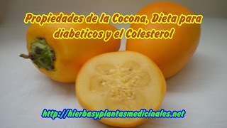 Propiedades de la Cocona Dieta para Diabeticos y el Colesterol [upl. by Ozne]