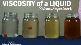 How to test the Viscosity of a Liquid [upl. by Tiana]