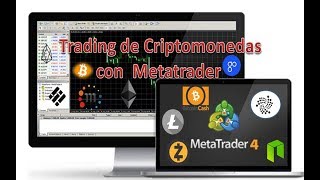 Trading de Criptomonedas con Metatrader [upl. by Olli197]