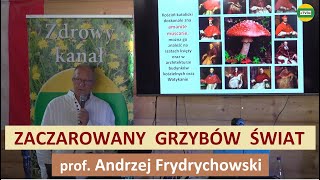 Magiczny świat grzybów Tajemnice leczniczych właściwości prof Andrzej Frydrychowski [upl. by Avilys537]