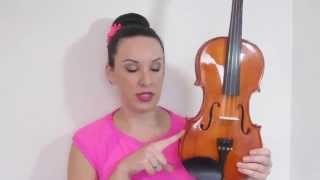 Stentor Student Standard 1018A Violin Review [upl. by Maury295]