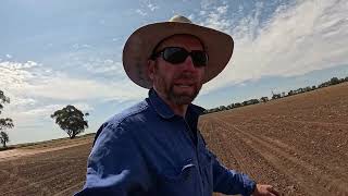 The start of canola windrowing for 2024 [upl. by Geller]