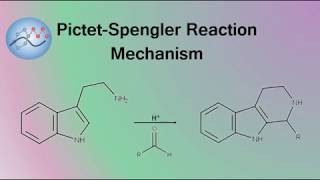 PictetSpengler Reaction Mechanism  Organic Chemistry [upl. by Alyakim]