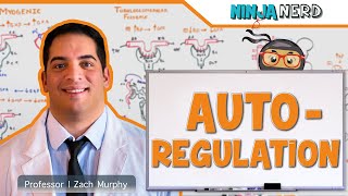 Renal  Autoregulation Updated [upl. by Naginnarb336]