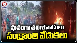 Tamil Nadu Grand Bhogi Celebrations  Sankranti Festival 2024  V6 News [upl. by Seebeck]