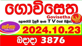 Govisetha 3876 20241023 Today nlb Lottery Result අද ගොවිසෙත දිනුම් ප්‍රතිඵල Lotherai dinum anka [upl. by Trillby344]