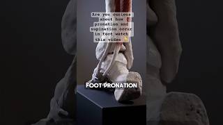 Master Pronation amp Supination Foot Mechanics Simplified for Students PronationVsSupination [upl. by Lesly]