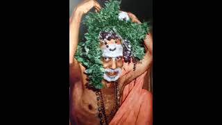 1 Experiences With Shree Maha Periyava New Channel [upl. by Blatman895]