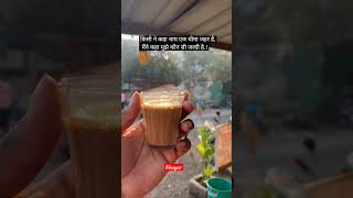 Chai shayari shayari shorts ytshorts chai coffee quotes love whatsappstatus trending [upl. by Sudnac]