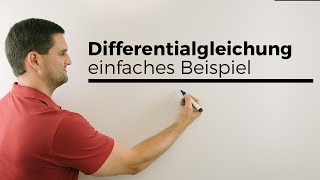 Differentialgleichung Differenzialgleichung lösen einfaches Beispiel  Mathe by Daniel Jung [upl. by Aehcsrop454]