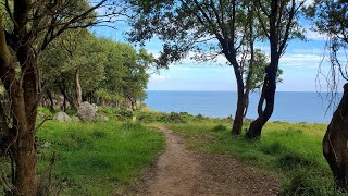 Joseph Breens Camino De Santiago  Del Norte 2024 [upl. by Mika477]