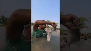 Catching Big Catla Fish By Polo shorts [upl. by Figone224]