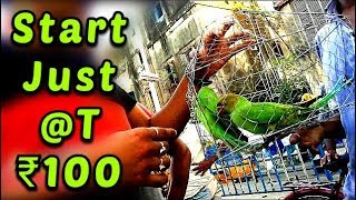 Red fortlal qila pets market delhi  chandni chowk [upl. by Nerej952]