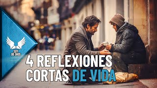 4 Hermosas Reflexiones Cortas de la Vida  Enseñanzas de Fe y Versiculos de la Biblia Soy De Dios [upl. by Gae]