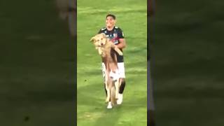 DOG Runs On SOCCER FIELD During GAME [upl. by Labors459]