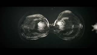 Cell divisionMitosis animated 3D models Houdini 195  Hip file [upl. by Gunther]