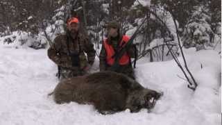 Episode 1 Russian Boar Hunt [upl. by Uy]