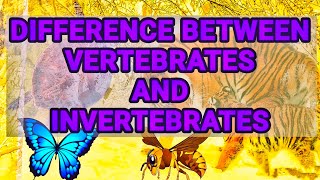 Difference between vertebrates and invertebrates  chordates and non chordates difference [upl. by Yemarej43]