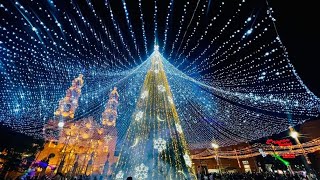 quotLuces Navideñas en Aguascalientes Una Vista Espectacularquot [upl. by Swarts32]