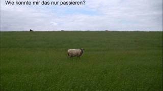 Das Lied der Trennung  Verlassen [upl. by Brott]