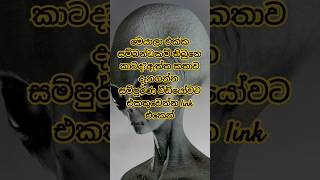 පිටසක්වල ජීවියෝ මෙතනින් ලංකාවටත් ආවද😱😱 සම්පුර්ණ විස්තරේට link එකෙන් එකතු වෙන්න [upl. by Nyrem]