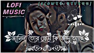 জানিনা তোর প্রেমে কি জাদু আছে 🥰 Janina Tor Preme Ki Jadu Ache LOFI MIXED 🎧 5 [upl. by Akinoj]