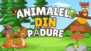 ANIMALELE DIN PĂDURI  videoclip educațional [upl. by Christoffer193]