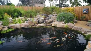 How To Build A Koi Pond  Final [upl. by Sileray]