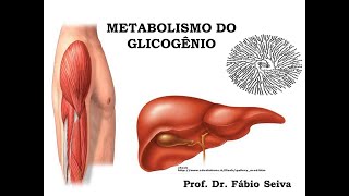 Metabolismo do Glicogênio  Reações [upl. by Leirda399]