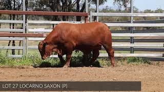 Lot 27 Locarno Saxon [upl. by Bonaparte]